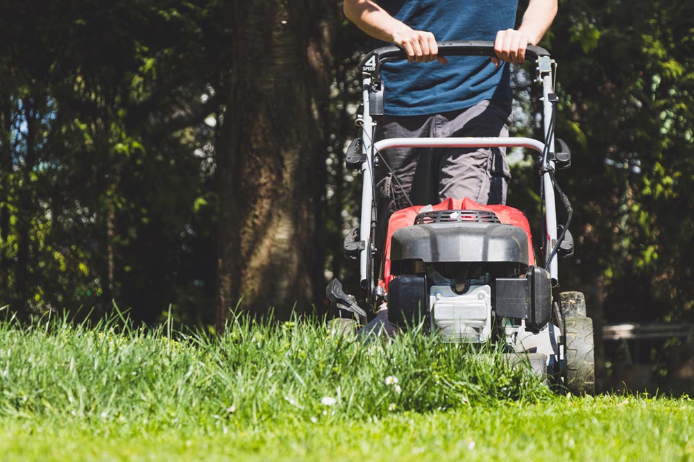 Lawn Care Landscaping in Saylorsburg PA ABC Landscaping And