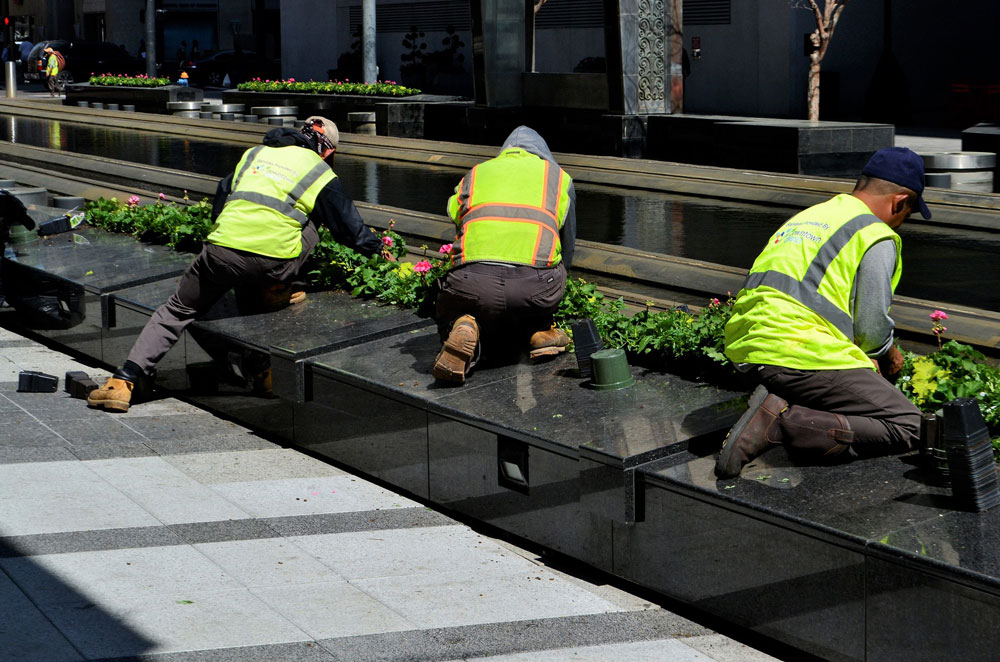 three men in traffic vests and hats trimming shrubs